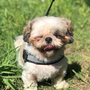 Meet your Posher, Ruby